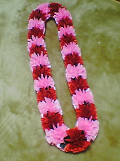 �s���N�����b�h�J�[�l�[�V�������C